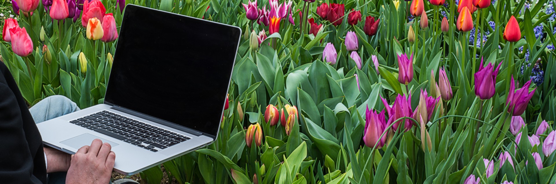 informazioni commerciali online